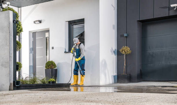Best Roof Cleaning and Mildew Removal in New Plymouth, ID